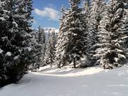 Talabfahrt Hattey nach Verbier