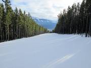 Waldschneisenpiste Eye Opener Connector