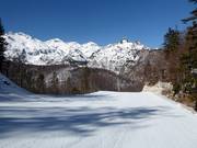 Piste Zadnji Vogel Nr. 10