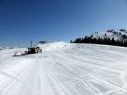 Übungslift am Brandstadl in Scheffau