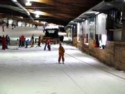 Seillift Bottrop - Seillift/Babylift mit niederer Seilführung