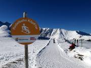 Tipp für die Kleinen  - Rodelbahnen
