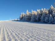 Sehr gute Pistenpräparierung in Mitterdorf