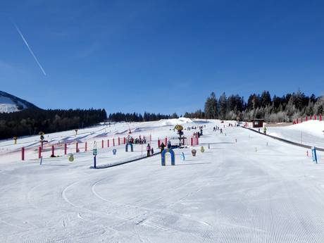 Familienskigebiete Bayern – Familien und Kinder Arber