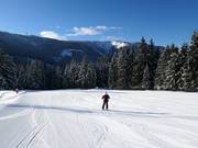 Leichte Familienabfahrt am Großberg