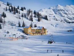 Almhotel & Genussgasthof Hierzegger