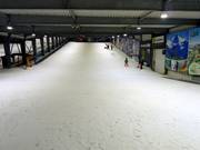 Idealer Platz für die Anfänger