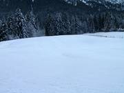 Flacher, breiter Hang am Schnitzlerwieslift