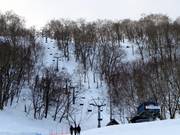 West Tiger Pair Lift - 2er Sesselbahn fix geklemmt