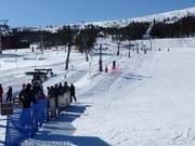 Kortknappen - Tellerlift