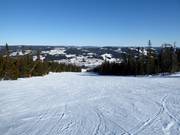 Mittelschwere Piste Nr. 15