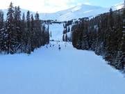 Leichte Piste Bunny Hop