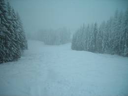 Whitefish Mountain Resort