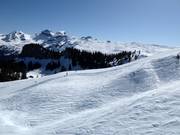 Freier Skiraum am Laucherenstöckli