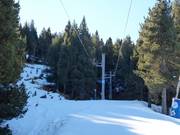 Telesquí Puentet - Tellerlift