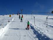 Wallerlift Monte Gogo - Tellerlift