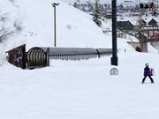 Mule Train - Förderband/Zauberteppich mit Überdachung