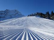 Pisten am Harschbichl und unterhalb des Kitzbüheler Horns