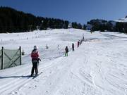 Easy Cheesy - Seillift/Babylift mit niederer Seilführung