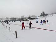 Seillift Kuli 1 (E) - Seillift/Babylift mit niederer Seilführung