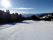 Mittelschwere Piste Doladizza