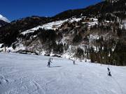 Übungsgelände in Talnähe (Feistritzlift)