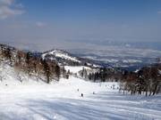 Blick vom höchsten Punkt im Skigebiet Furano