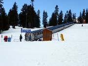 Goldie Magic Carpet - Förderband mit Überdachung