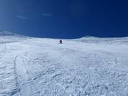 Extrem steil: Platter Splatter