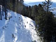 Tipp für die Kleinen  - Rodeln auf der RudiRun