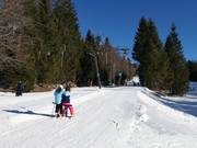 Farrenau I - Schlepplift mit T-Bügel/Anker