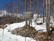 Pistenausschilderung im Skigebiet Vogel