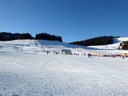 Leichte und breite Pisten dominieren auf der Postalm