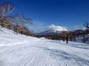 Leichte Piste Silver Dream (Hanazono)