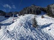 Tiefschneehänge am Milchhäuslexpress