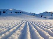 Sehr gute Pistenpräparierung am Dollar Mountain
