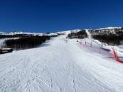 Piste am Schlepplift Sysendalen