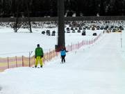 Beginners-Lift Flachauwinkl - Seillift/Babylift mit niederer Seilführung