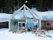 Skibar Igloo