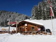 Berghütten Tipp Holzwurm