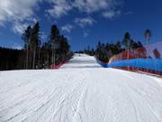 Leichte Piste Vezzena