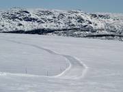 Landschaftlich reizvolle Loipe