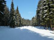 Südabfahrt Ochsenkopf