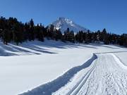 Höhenloipe "La Muntagnarda"