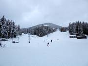 Piste Topping Towers