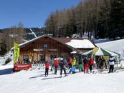 Genussspecht-Wirt Mitterhausalm auf der Planai