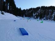 Kleine Hindernisse am Förderband Bambi