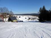 Piste Nr. 40 M1 Prawa