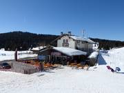 Gastronomie-Tipp Osteria Coe