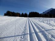 Perfekt präparierte Loipe